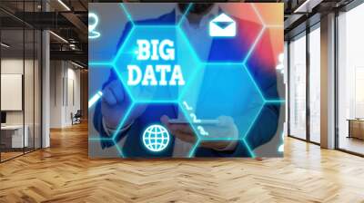 Text sign showing Big Data. Business photo showcasing sets that so complex that traditional software cant deal with them Wall mural