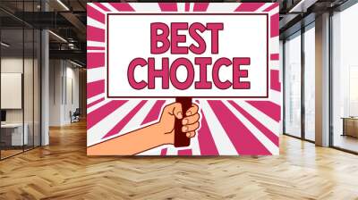 Word writing text Best Choice. Business concept for act of picking or deciding between two or more possibilities Man hand holding poster important protest message pink rays background Wall mural