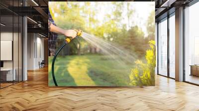 Pregnant woman watering green tree with hose. Gardening concept Wall mural