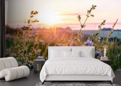 Beautiful wildflowers on a green meadow. Warm summer evening Wall mural