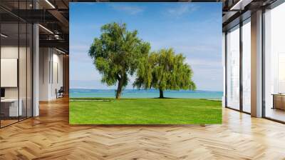 two trees standing on the shore of the lake, beautiful summer landscape Wall mural