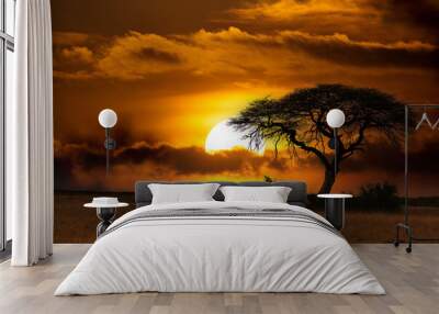 orange african sunset over acacia tree with big sun, nature wilderness scene, Africa safari Wall mural