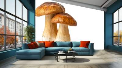 boletus mushrooms isolated on white background Wall mural