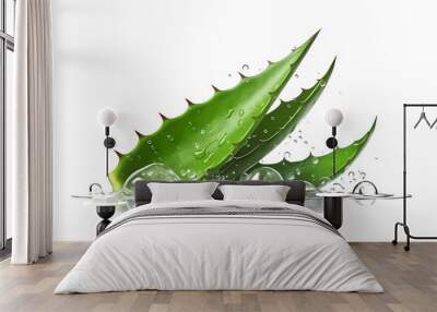 aloe vera leaf  isolated on transparent background. genarative ai Wall mural