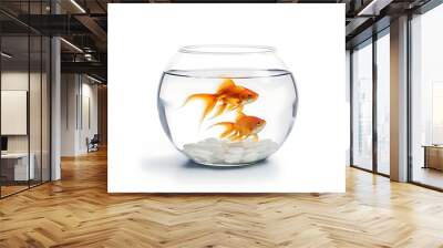 goldfish in a glass Wall mural