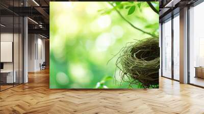 A bird's nest in sunlight-dappled foliage Wall mural