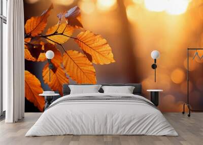 Golden beech leaves in sunlight with a soft-focus background Wall mural