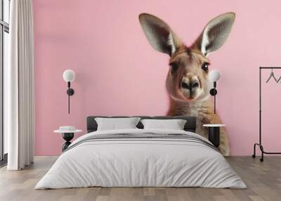 Kangaroo against pink background with ears erect Wall mural