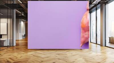 Single sweet potato on purple background Wall mural