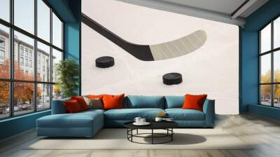 Ice hockey stick with black hockey puck near on ice details. Wall mural