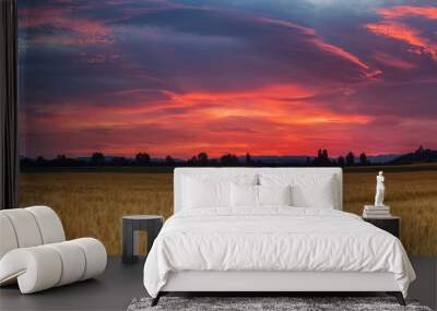 Amazing sunrise over a cereal field Wall mural