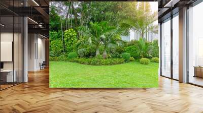 Fresh green grass smooth lawn as a carpet with curve form of bush, trees in a backyard, building on background, good mainternance lanscapes in a luxury house's garden under morning sunlight Wall mural