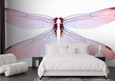 Dragonfly wings isolated on white background. Wall mural