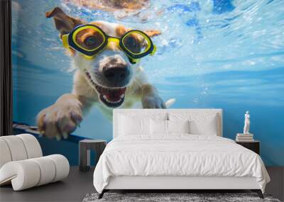 A young puppy is happily taking a selfie inside the pool with swimming goggles after splashing in the pool. Summer vacation. Wall mural