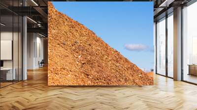 Alternative fuel,ecological fuel,biofuel sawdust,sawdust closeup background.Sawdust texture.A large pile of sawdust from wood after wood processing.Outdoors shot. Wall mural