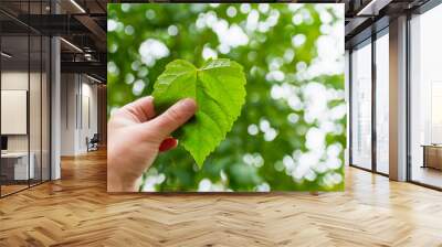 Hand holding green leaf heart shape on blur green nature background and sunlight.Concept eco earth day. Wall mural