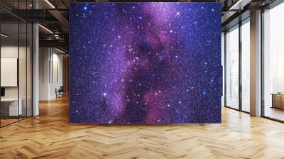 Night starry sky and Milky Way. Space vertical background with nebula Wall mural