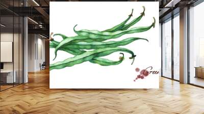 Green French beans. Hand drawn watercolor painting on white background. Wall mural