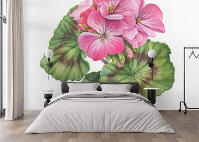 Pink flower of garden plant geranium (also known as storksbill, cranesbill). Watercolor hand drawn painting illustration isolated on a white background. Wall mural