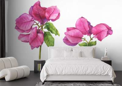 Set with pink Bougainvillea spectabilis flower branch. (the paperflower, primavera, buganvilia, veranera, roseiro, roseta). Watercolor hand drawn painting illustration isolated on white background. Wall mural