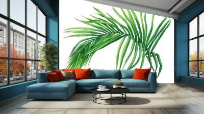 Tropical green coconut palm leaf. Watercolor hand drawn painting illustration isolated on a white background. Wall mural