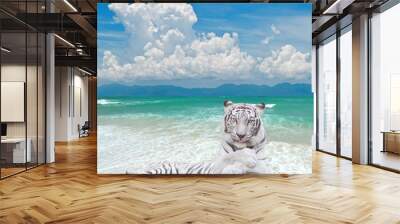 white tiger Wall mural