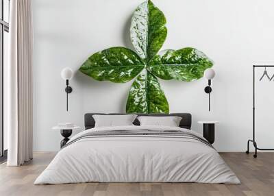 A beautiful green leaf cross, perfect for church decorations, calendars, invitations, and baptism celebrations.  It's a great choice for Easter, Catholic events, and christenings. Wall mural