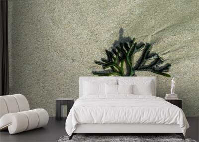 plant in sand Wall mural