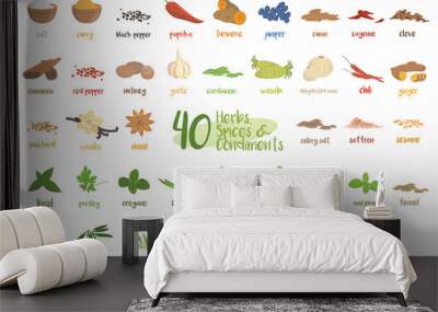 Set of 40 different culinary herbs, species and condiments in cartoon style. Wall mural