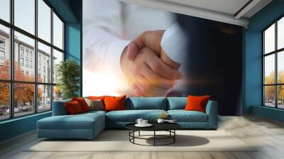 business handshake and business people. business concept. Wall mural