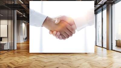 close up.handshake of business people on a light background Wall mural