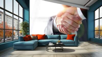 Effective negotiation with client. Business concept photo. Wall mural