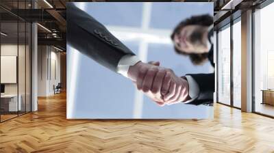 Friendly smiling businessmen handshaking. Business concept photo Wall mural