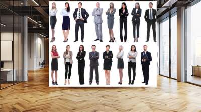 group of successful business people isolated on white Wall mural