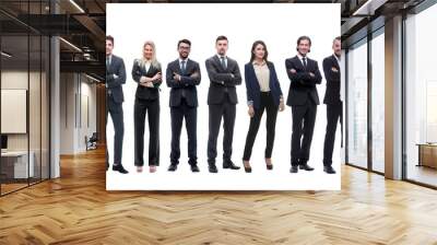 group of young successful entrepreneurs standing in a row Wall mural