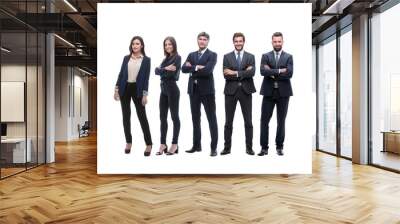 group of young successful entrepreneurs standing in a row Wall mural