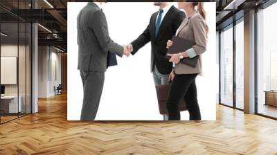 handshake between business people isolated on white Wall mural