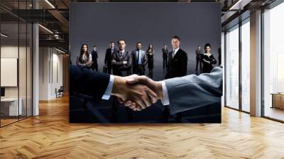 handshake isolated on business background Wall mural