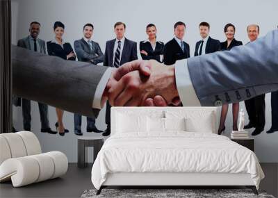 handshake on the background group of business people. Wall mural