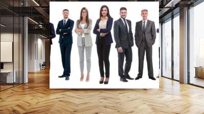 panoramic photo of a professional numerous business team Wall mural