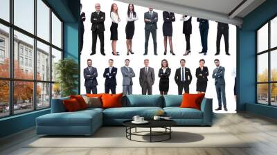 successful business people isolated on white background Wall mural