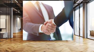 Two businessman shaking hands Wall mural