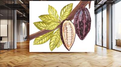 Set of botanical illustration. Watercolor cocoa fruit collection isolated on white background. Hand drawn exotic cacao plants. Botanical cacao bean frame. Place for text. Wall mural