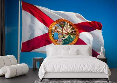 Florida flag against a blue sky Wall mural