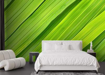 Abstract natural floral Green tropical plant close-up background Wall mural