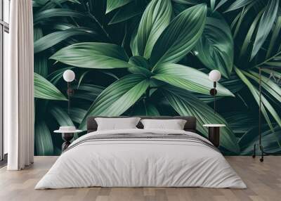 Abstract natural floral Green tropical plant close-up background Wall mural