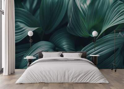 Abstract natural floral Green tropical plant close-up background Wall mural