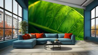 Abstract natural tropical plant background Selective focus Wall mural