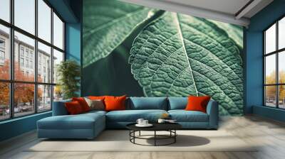 Closeup leaf texture Wall mural