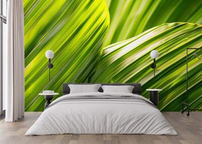 Green tropical plant close-up Wall mural